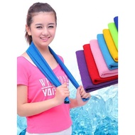 Quick Drying Microfiber Sports Towel Size 80x30cm - T481
