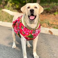 QM🥬Oversized Dog Gold Color Chain Labrador Golden Retriever Husky Jarre Aero Bull Plastic Pet Necklace Pet Collar LPQL