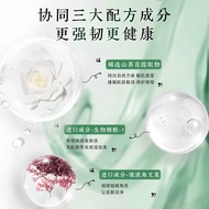 Store Selection#ab Facial Cleanser Camellia AB Oil Control Amino Acid Cleanser for Oily Skin, Moistu