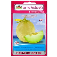 Hybrid Cantaloupe Seeds Jet