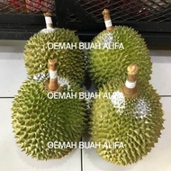 Durian Musang King Utuh/Durian Sultan Malaysia Asli