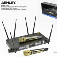 ASHLEY PRO-1 Wireless microphone (can change 2 frequency)