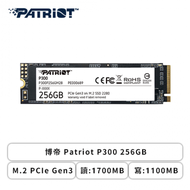 博帝 Patriot P300 256GB/M.2 PCIe Gen3/讀:1700MB/寫:1100MB/五年保