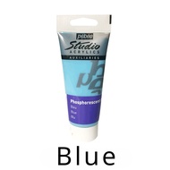 【Popular choice】 100g Luminous Powder Pigment Bright Luminescent Powder Glow Dark Phosphor Luminous