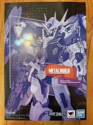 Metal build 00 raiser trans am ver