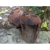 jual bahan kayu stigi full galih. ngurak alami