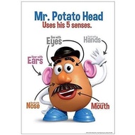 Classroom Poster Smeasures Mr Potato Head 5 Senses