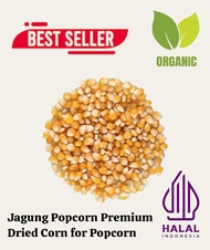 Jagung PopCorn 500 gr / Dried Corn Popcorn / Jagung Popcorn Impor Best