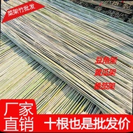 K-Y/ Colorful Flag Flagpole Bamboo Bamboo Pole Vegetable Garden Lattice Anti-Corrosion Thickness Rod Rack Vegetable Gard