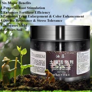 Soil Activator 100g – For Stronger Roots, Better Fruiting & Improved Soil Quality 土壤活化剂 植物营养液 松土精