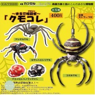 蜘蛛扭蛋 海洋堂 節足動物 暗殺者 spider 昆蟲 動物扭蛋 扭蛋 日本扭蛋 日本代購 景品 玩具 公仔 擺設 figure 周邊 盒玩 盒蛋 食玩 