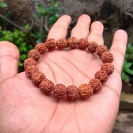 N A7 Gelang Biji Jenitri Genitri Rudraksha 100% Asli Alami 8Mm C To