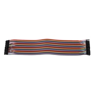 Raft Cable (2.54mm) 40 pin to 40 (female-female) 20 cm (2.54mm) 40 40 20