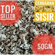 Cendawan Kukur | Kulat Sisir | Kudop | Kulat Sisir Kering | Cendawan Kering | Mushroom| Cendawan Sis