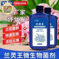 【樂樂屋】蘭靈王營養液蘭花專用微生物菌君子蘭蝴蝶蘭肥料促芽批發代發
