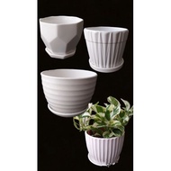 [BORONG 🇲🇾] ROUND SHAPE CERAMIC FLOWER POT WITH SOURCE/ Pasu Putih/ Pasu Bunga/ Pasu Seramik/ Pasu H