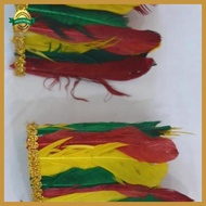 Feather Decoration Head Accomplice Papuan Traditional Accessories dayak Dance Costume alvidnita_