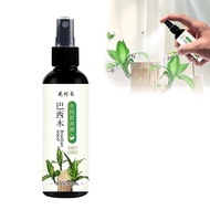 Brazilian Wood Plant Food,Lucky Bamboo Liquid Fertilizer,Hydroponic Brazilian Wood Nutrient Solution