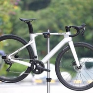 TWITTER 騅特 R10pro 碟剎（二代）22速 桶軸碳纖維公路車 送水架前後蛙燈