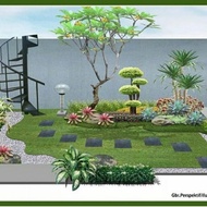 taman hias rumput/bonsa/tanaman kecil