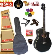 Gitar Akustik Yamaha Apx 500ii Custom