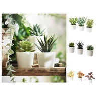 ikea FEJKA Artifi potted plant w pot, set of 3