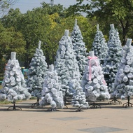 [TPHCM - HỎA TỐC] - Cây Thông Cước Hỗn Hợp Phun Tuyết C66 Trang Trí Noel Giáng Sinh TR25