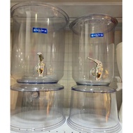 IORA Lucky Star 5.5 Liter & 10 Liter Drinking Water Container / Drink Dispenser / Drink Serving Cont