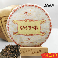 勐海味 7542 Meng Hai Wei Puer tea (2016)｜【普洱生茶 Raw Puer tea】Chinese Tea 中国茶 / 茶叶 (普洱茶) Teh Cina | Qiu X