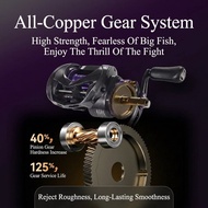 【New Product】Fishing Reel Baitcasting DC Electronic 7.1:1 8kg 5+1 BB Bass Cast Smooth BS5200