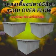 อ่างเลี้ยงปลา 65 ลิตร overflow ขนาด64xx44x31ซ. (กล่องสีขาวครีม) กะบะเลี้ยงปลา อ่างเลี้ยงปลา อ่างเลี้