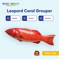 Beacon Mart Leopard Coral Grouper Sabah Fish