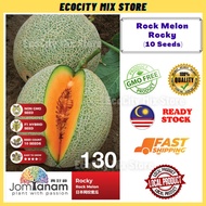 Rock Melon Rocky (10 Seeds) Benih Rock Melon 日本网纹蜜瓜种子 Jom Tanam by Crop Power JT130