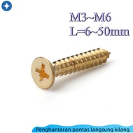 H68 Brass Phillips Countersunk Head Self-Tapping Screws Pure Copper Wood Screws All Copper Flat Head