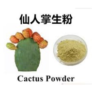 Cactus Powder / Serbuk kaktus 100g