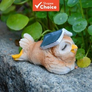 A cute resin ornament of a chick with a book on its head, appearing to be reading, creating a playfu