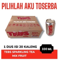 TEBS Sparkling Soda CAN KALENG 330 ml - ( HARGA 1 DUS ISI 20 kaleng )