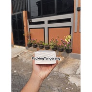 Thermal Label 100 mm X 150 mm receipt paper/ (500 sheets)