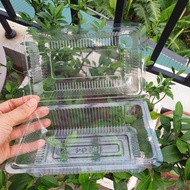 100 Disposable Transparent Plastic Boxes H04 for Cakes and Salads - H04 Large - H04 Baby