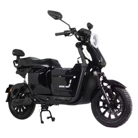 Electric Road Bike 48V Dual Battery Dual Motor 15A 44Ah 2000W Electric City Bike /Electric Mountain 