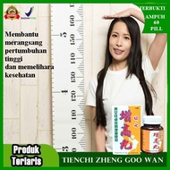 Suplemen Tienchi Zheng Goo Wan Original BPOM Suplemen Peninggi Badan Dan Membantu Memelihara Kesehat