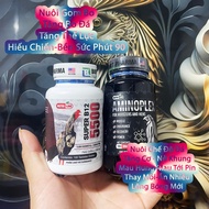 Combo Nuôi Gà Chế Độ Đá B12 5500 + Amino Thế Hệ Mới Đá Súc Cây Láp