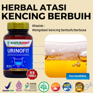 obat air kencing berbusa bau berbuih sakit pinggang prostat herbal urinofit naturindo