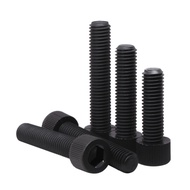 Black Nylon Hexagon Socket Screw Plastic Screw Plastic Screw M3M4M5M6M8M12