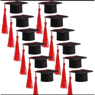 Combo of 10 mini graduation hats, handmade graduation caps