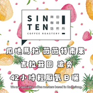瓜地馬拉 薇薇特南果 吉拉莊園 波旁 42小時輕厭氧日曬*莓果朝露【每包500公克】【興田咖啡生豆】精品咖啡生豆
