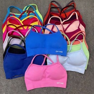 DFYNE New Color Nylon Seamless Yoga Bra Beautiful Back Sports Underwear Women Outer Wear Sports Bra