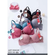 Bra B862 push up bra with underwire cup B 3 buttons Thick foam size 38.40.42.44