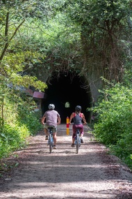 Guided Glow Worm E-Bike Tour in Byron Bay