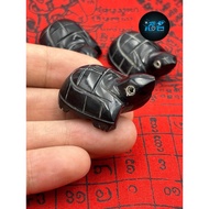 Buffalo horn fortune-bringing turtle. The original temple of Luang Phor Kuay Wat Kositaram